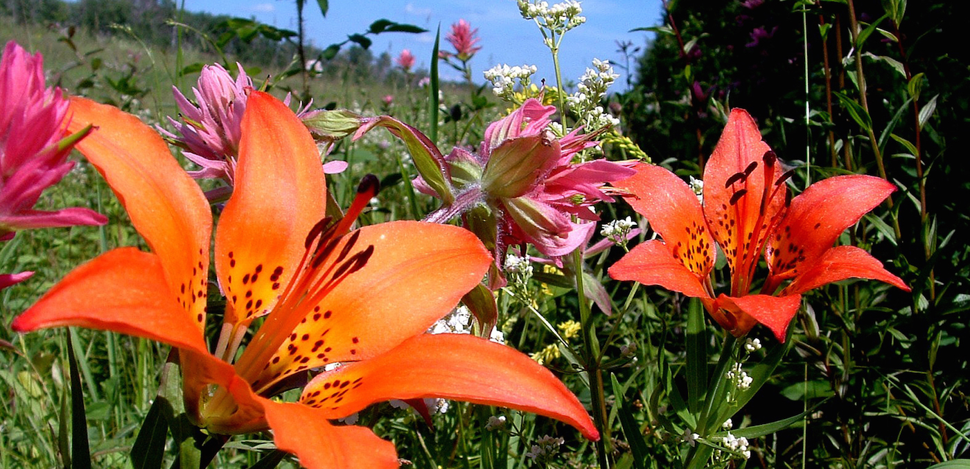 History | Société historique de la Saskatchewan